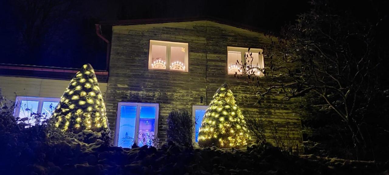Waldhaus Apartman Jáchymov Kültér fotó