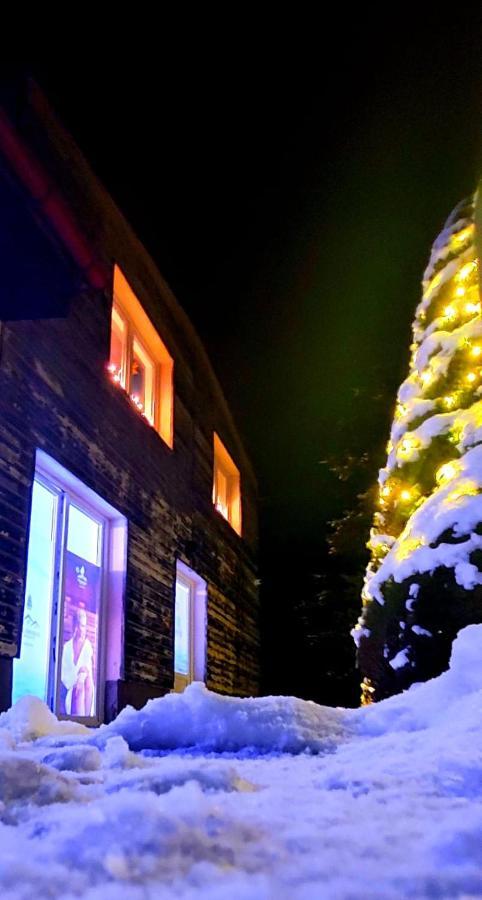 Waldhaus Apartman Jáchymov Kültér fotó
